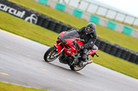 PJ-Motorsport-2019;anglesey-no-limits-trackday;anglesey-photographs;anglesey-trackday-photographs;enduro-digital-images;event-digital-images;eventdigitalimages;no-limits-trackdays;peter-wileman-photography;racing-digital-images;trac-mon;trackday-digital-images;trackday-photos;ty-croes